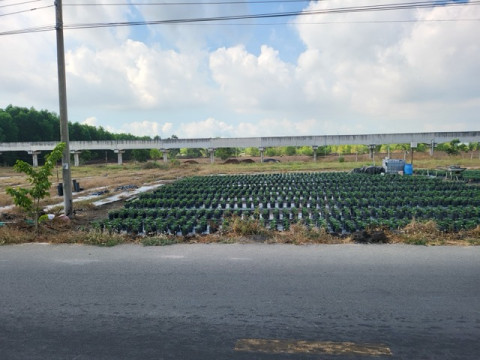 Bán đất xã Đất Đỏ - 506m2 sẵn 80m2 thổ cư