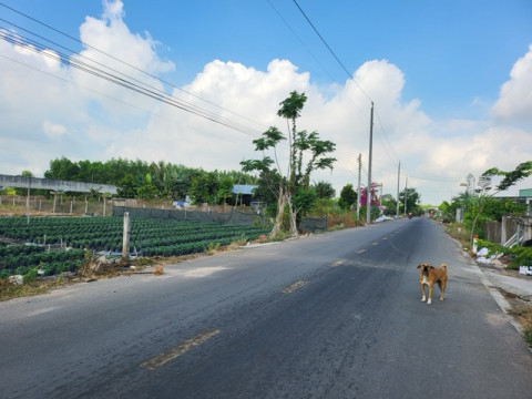 Bán đất xã Đất Đỏ - 506m2 sẵn 80m2 thổ cư