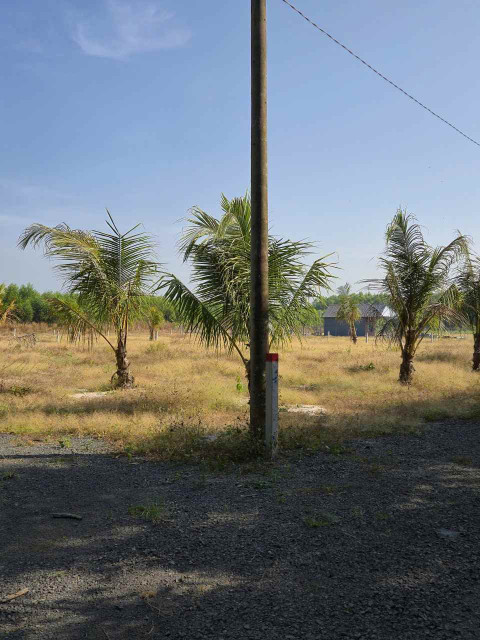 Bán đất vườn cạnh khu công nghiệp Đất Đỏ. Diện tích 1324m2 hai mặt tiền giá chỉ 1,45 tỷ