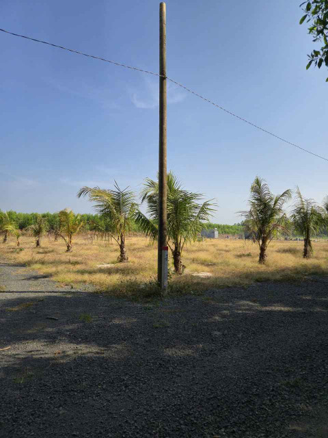 Bán đất vườn cạnh khu công nghiệp Đất Đỏ. Diện tích 1324m2 hai mặt tiền giá chỉ 1,45 tỷ