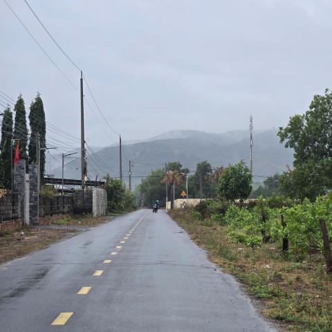 Bán đất Phước Hải gần hồ Sở Bông. Diện tích 10 x 30 shr, có tc giá chỉ 2,5 tỷ